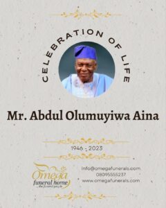 Mr. Abdul Olumuyiwa Aina