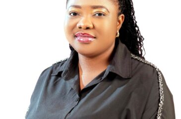 Meet Our Team